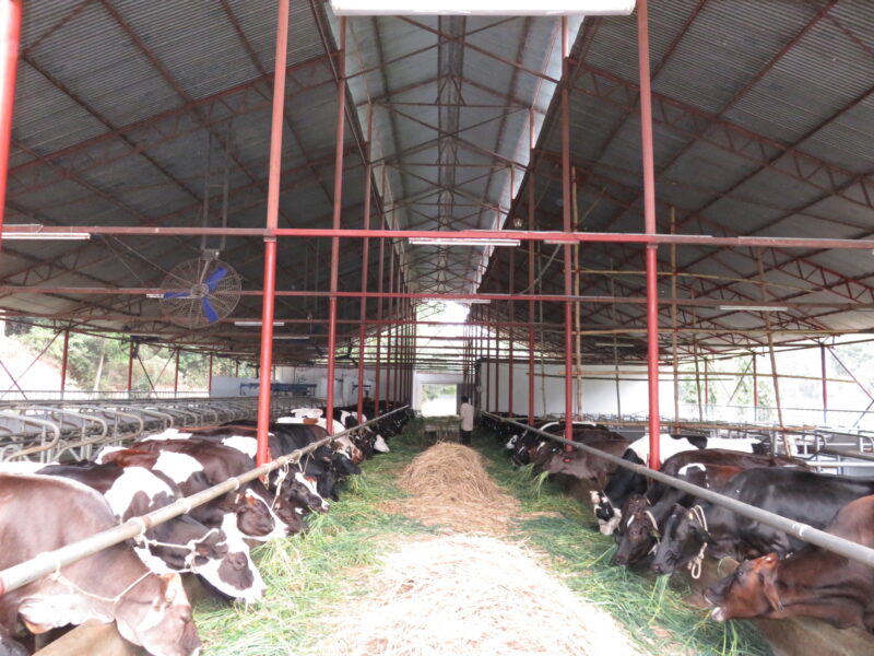 Farm Overview
