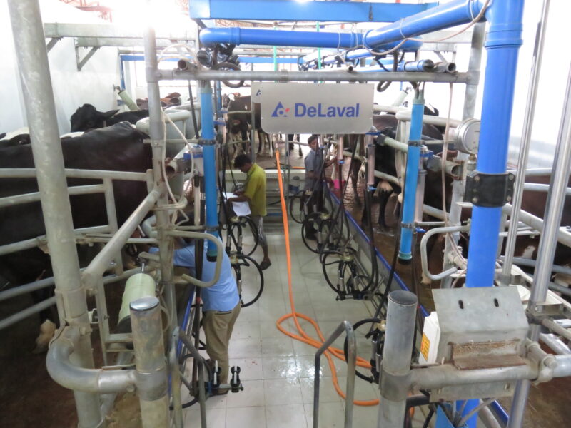 Milking Facility
