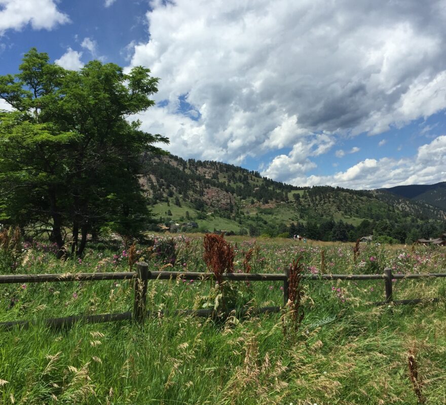 Boulder